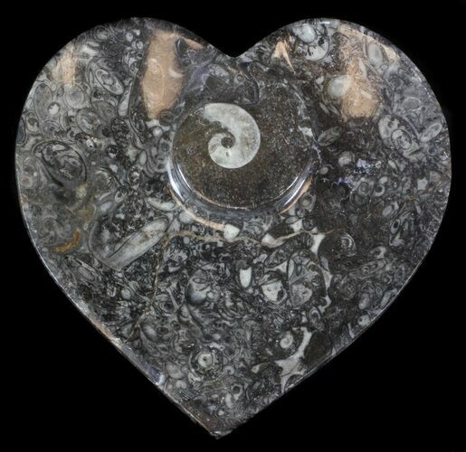 Heart Shaped Fossil Goniatite Dish #36305